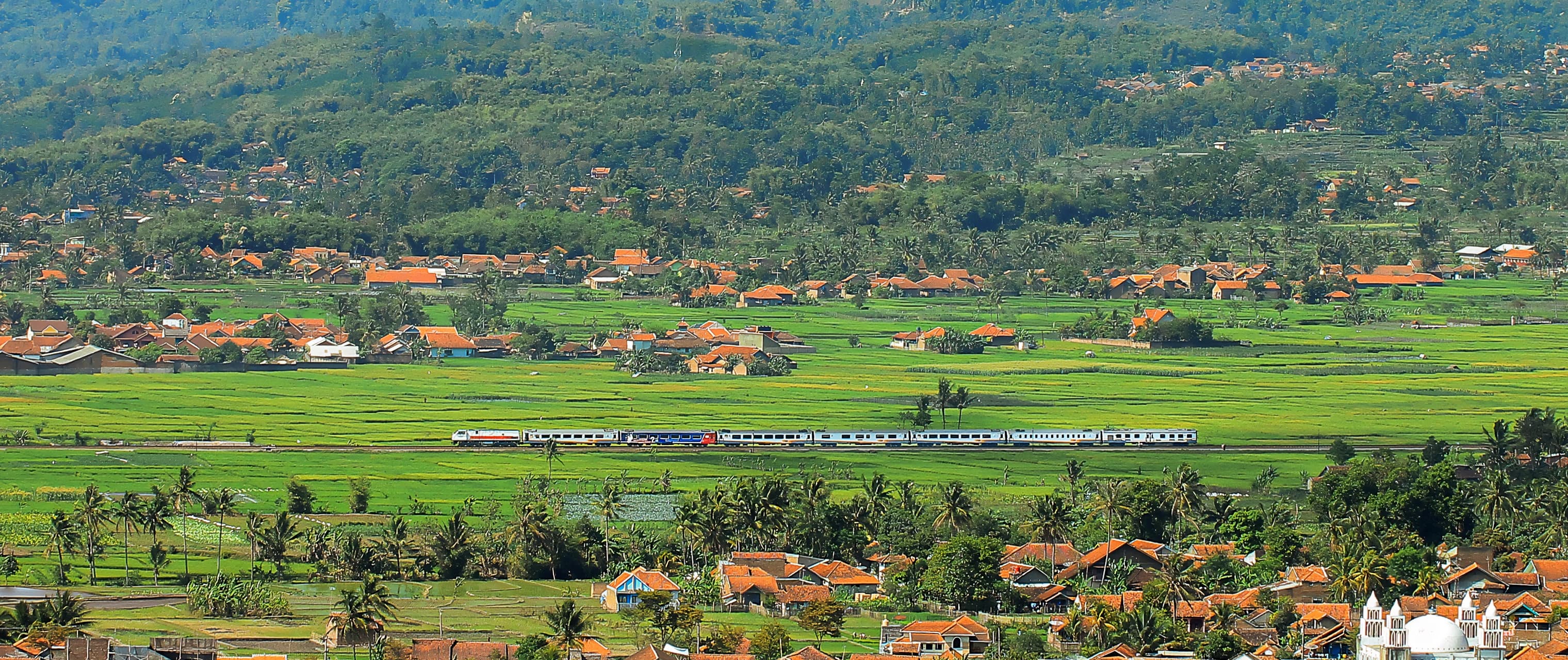 Argo Wilis Train Guide