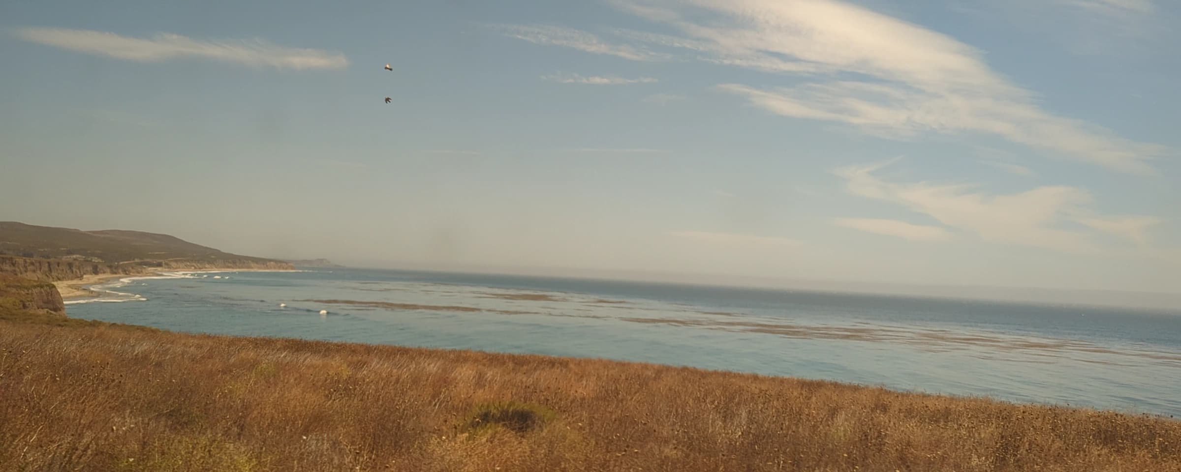 Coast Starlight Train Guide